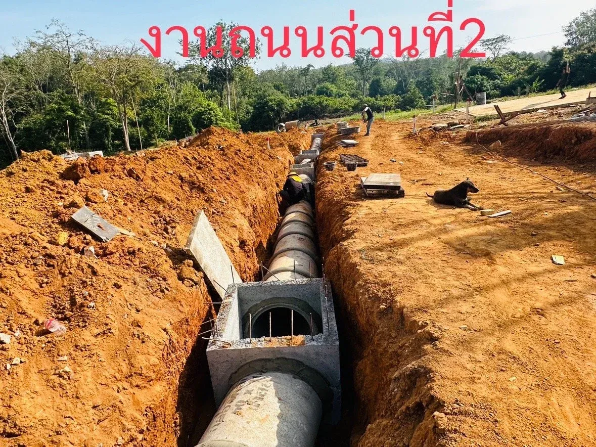 imgi_104_542565431349871216