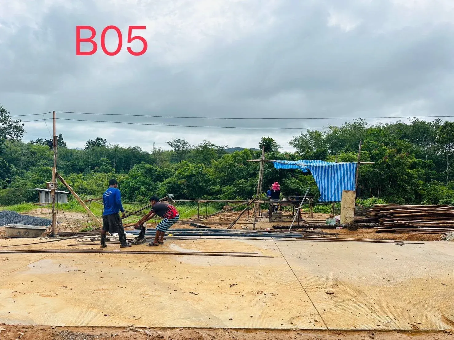 imgi_53_523290040223662194