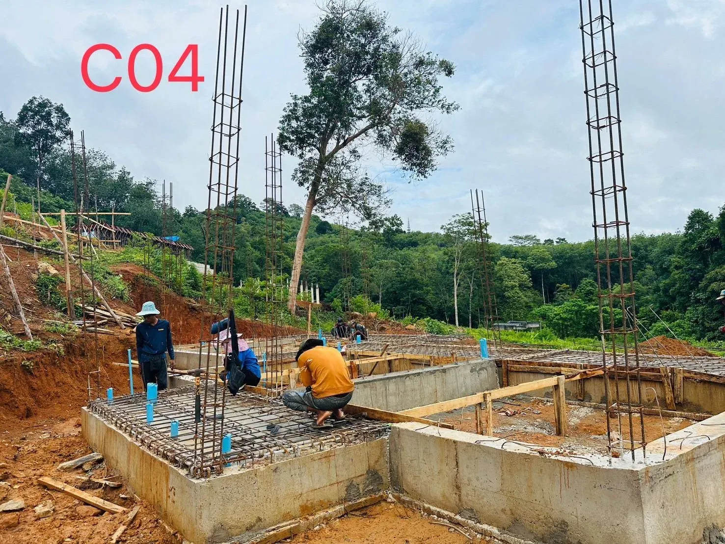 imgi_54_523290039334469861