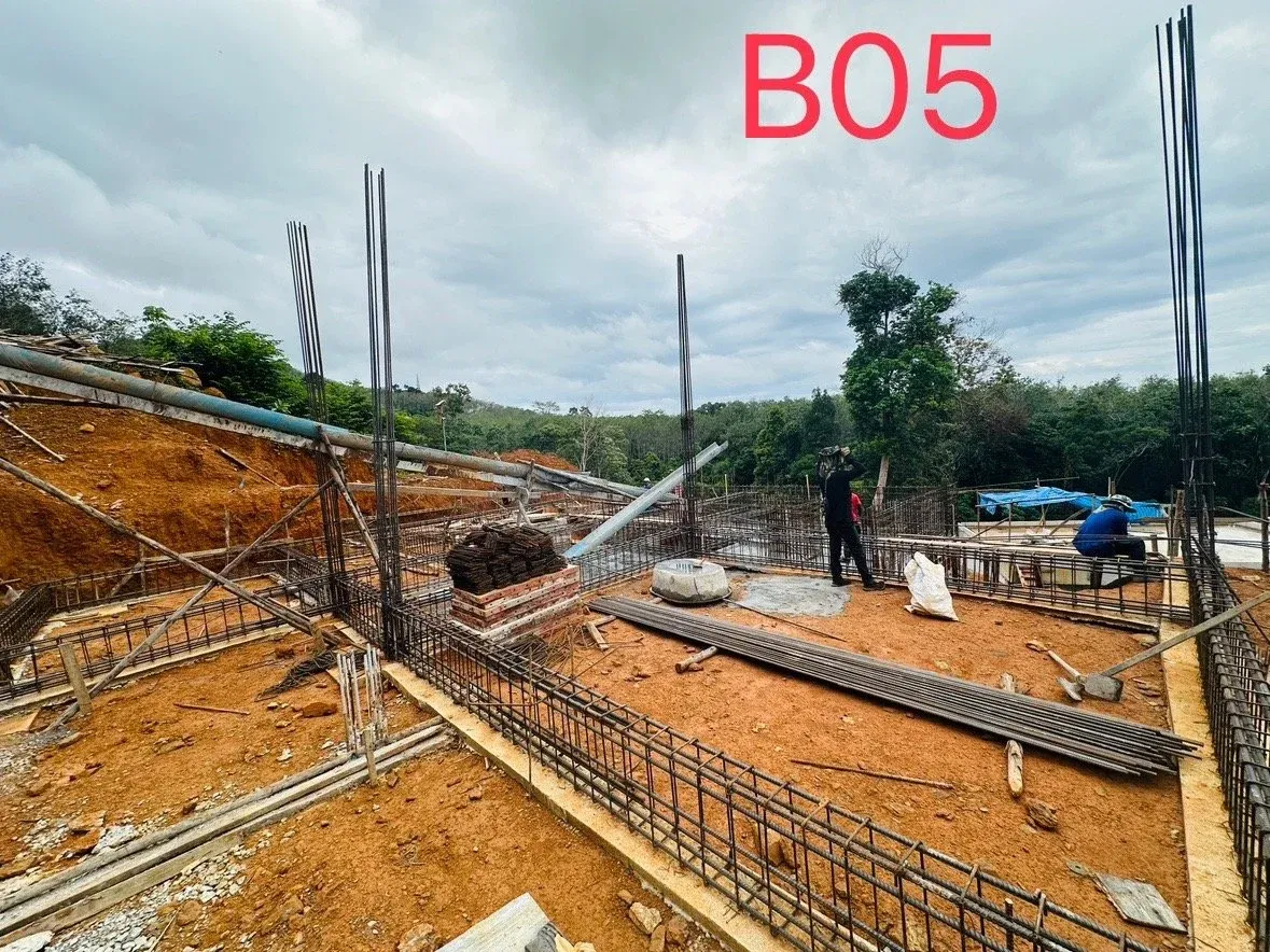 imgi_81_0C1AE2C00E48556D2C5B013018840FF2AFFB2700