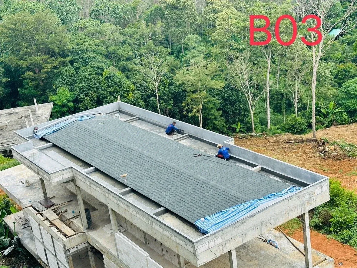 imgi_85_997EB5EA098D13270811048E9C1D1D25F50EC04C